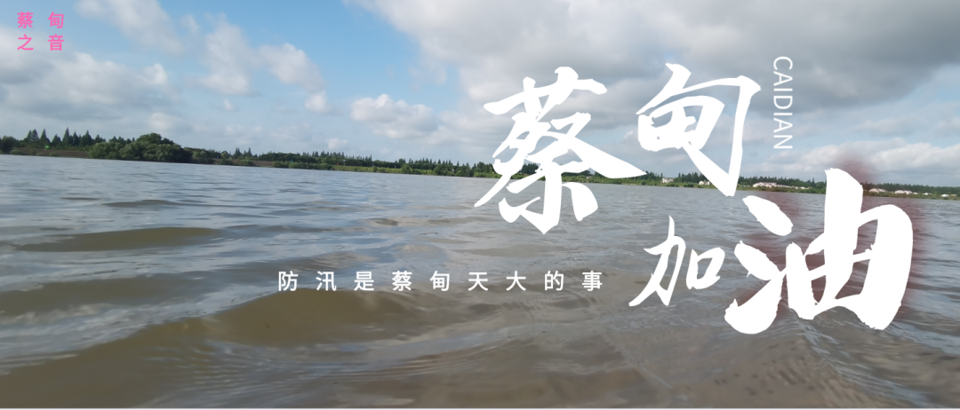 蔡甸區(qū)啟動(dòng)防汛ⅰ級(jí)應(yīng)急響應(yīng)，做好鋪土釘防汛木樁工作