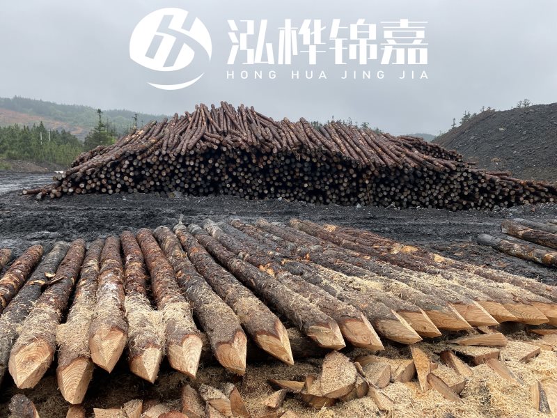 6米長松木樁有哪些作用，多少錢一根？