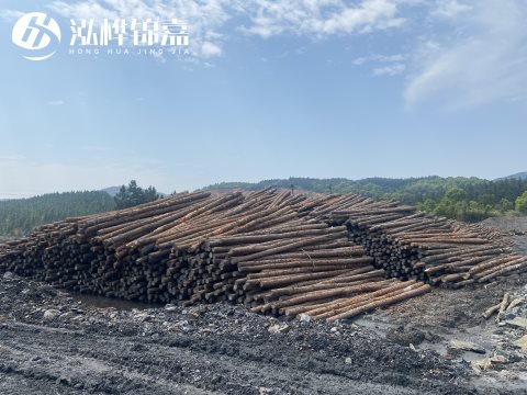 河道打樁為什么選擇松木樁來處理軟地基？-松木樁施工使用范圍