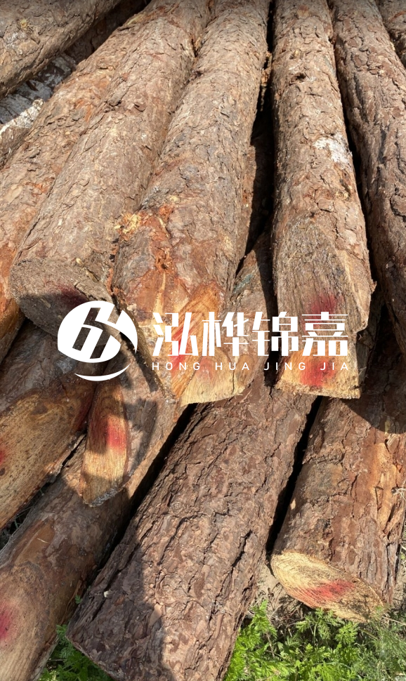<strong>松木樁和杉木樁的用途區(qū)別？哪個(gè)更適合打樁用？</strong>