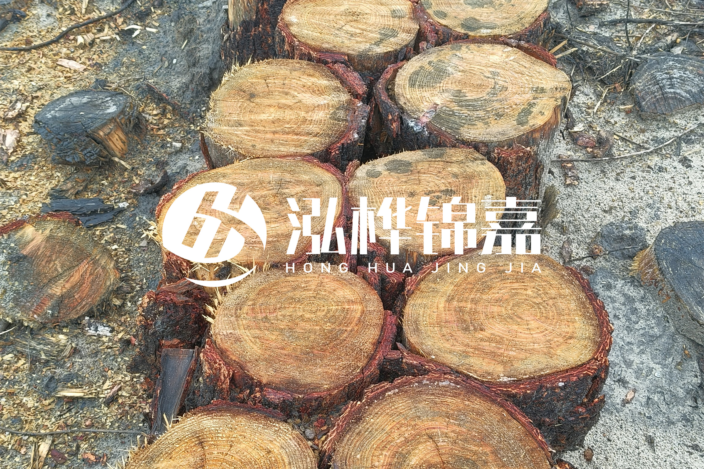 浙江臺(tái)州有清淤的公司嗎？浙江臺(tái)州有清淤施工隊(duì)嗎？