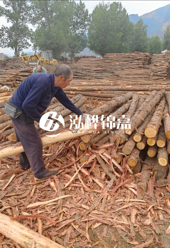 九江河底清理淤泥施工隊-河道清淤85元一方能干嗎？