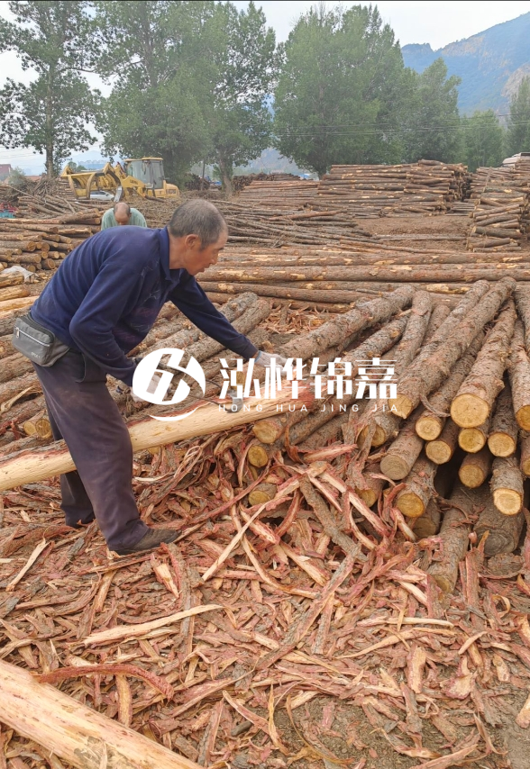 東營河道清淤專業(yè)施工隊-不同型號挖機清淤能力對比？