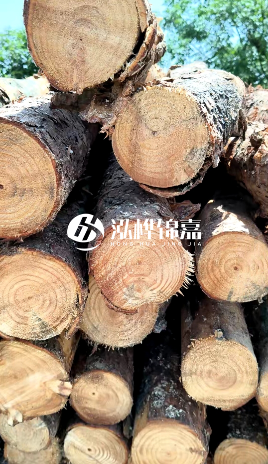 周口挖機打木樁專業(yè)施工-杉木樁施工打樁怎么打？
