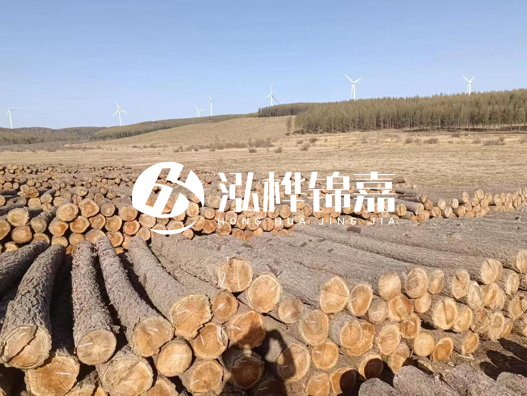咸寧松木樁源頭廠家-哪里能買到質(zhì)量好的松木樁打樁木？