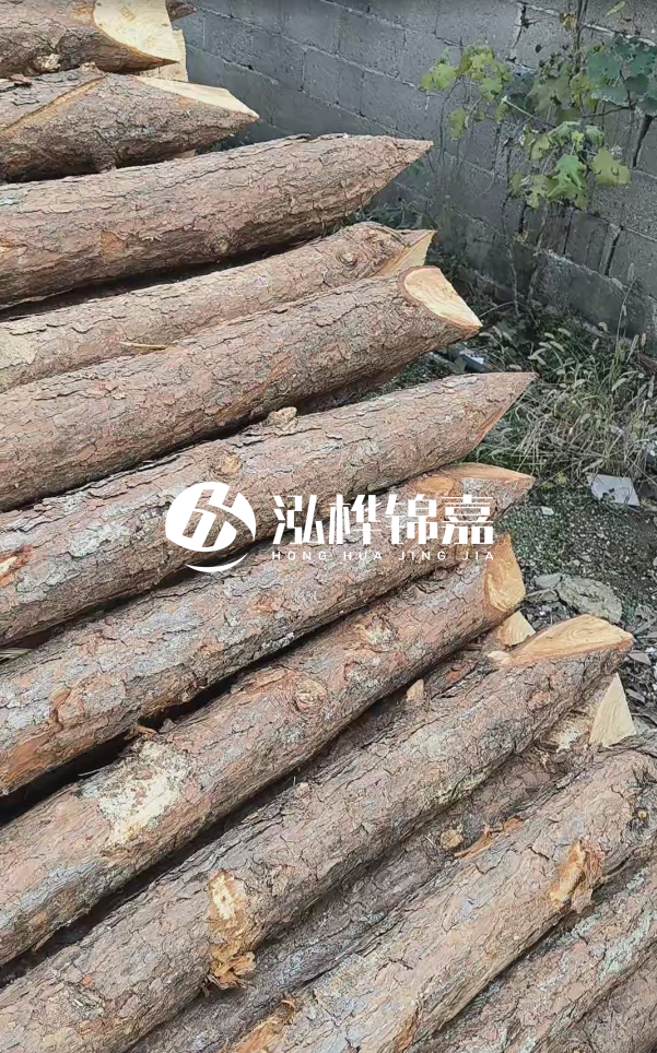 松木樁哪里能大量供應(yīng)？4米20公分松木樁價格是多少？
