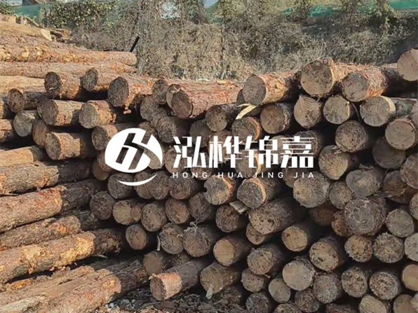 落葉松木材的主要產(chǎn)地在哪里？為什么比其他松木更耐腐蝕？
