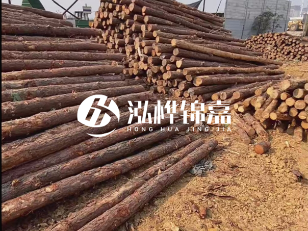 河道木樁施工遇到淤泥怎么辦？打多深才能防沖刷？