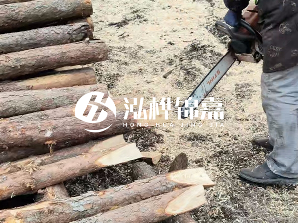 杉木樁批發(fā)廠家哪家好？產(chǎn)地直供渠道推薦！