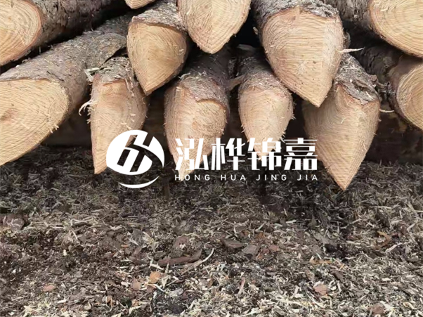 打樁木樁與鋼樁相比有哪些優(yōu)缺點(diǎn)？如何進(jìn)行后期維護(hù)？