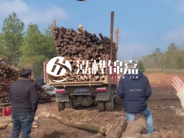 松木樁價格是按米算還是按根算？6米松木樁批發(fā)價每根多少錢？