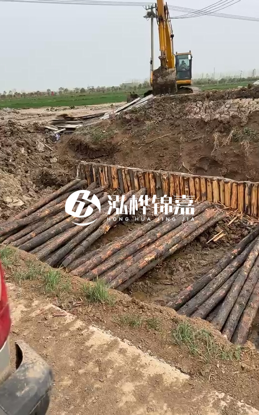 4米直徑12-13油松批發(fā)價最低多少？報價含稅含運嗎？