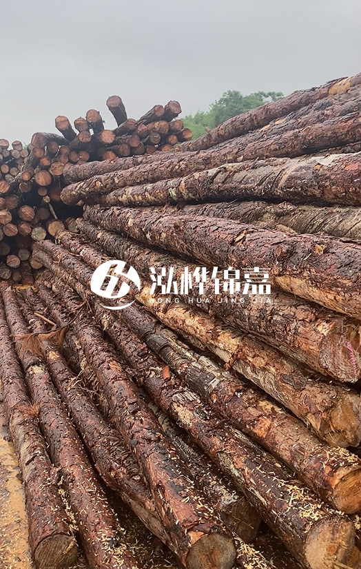 購買松木樁注意事項(xiàng)有哪些-不同直徑松木樁區(qū)別有哪些？