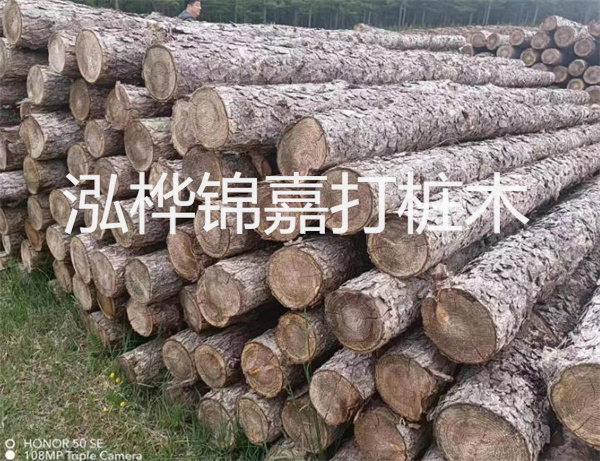 高效修補，保駕護航！水泥路面高強度修補料為您解決煩惱！