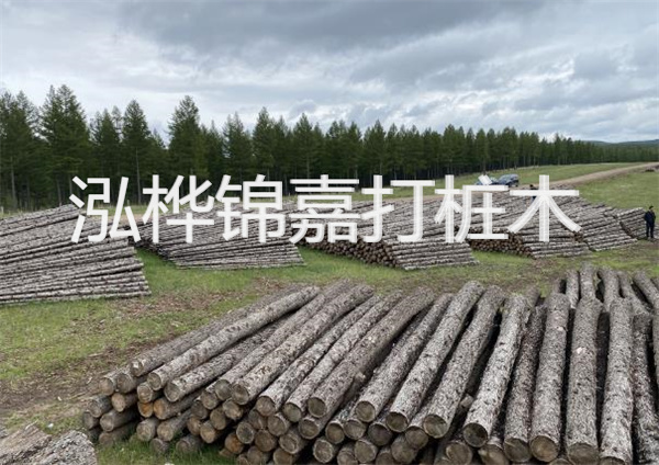 鋼結構施工方案大全免費提供，助力工程建設