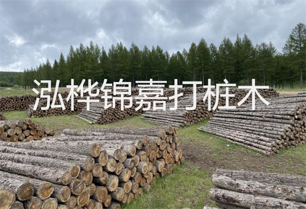 預制松木樁施工工藝：優(yōu)質材料，高效快速，堅固耐用