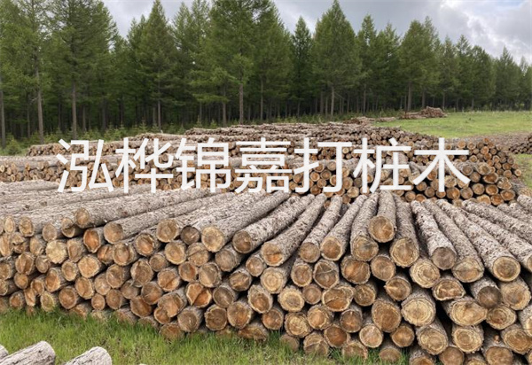 松木樁能施工嗎？探究視頻揭秘真相！