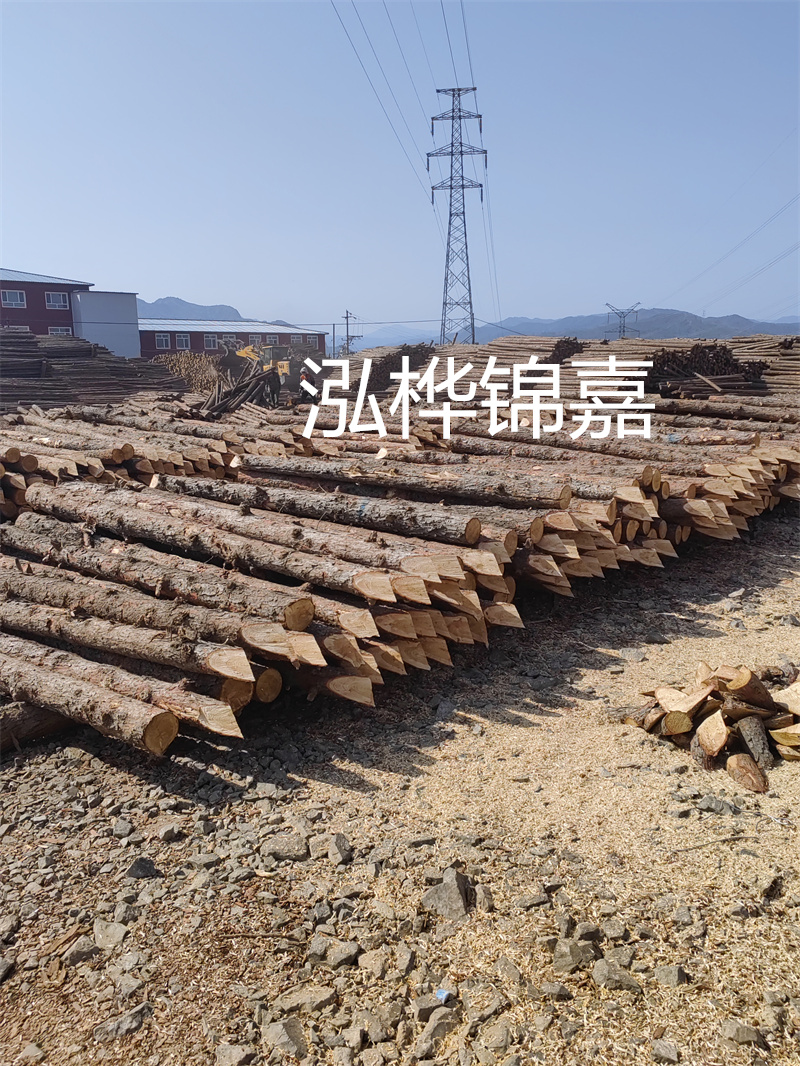 深入了解松木樁基礎(chǔ)施工單價(jià)，助力工程建設(shè)順利進(jìn)行！