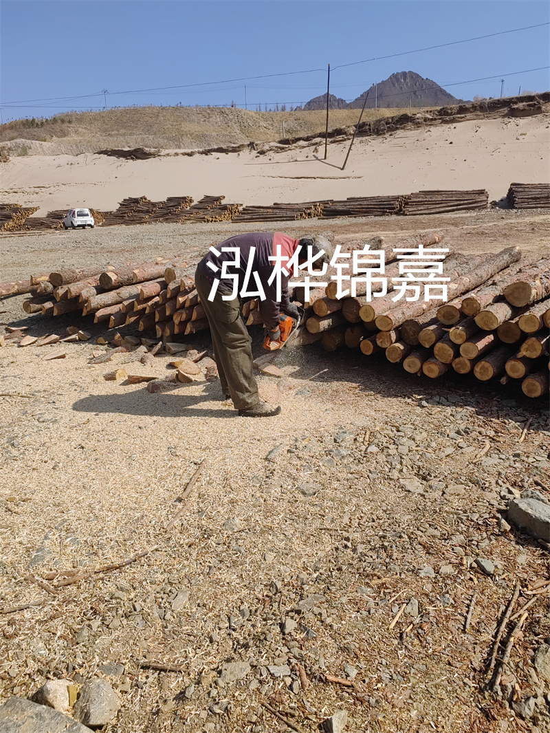 松木樁駁岸施工，打造水上風(fēng)景線