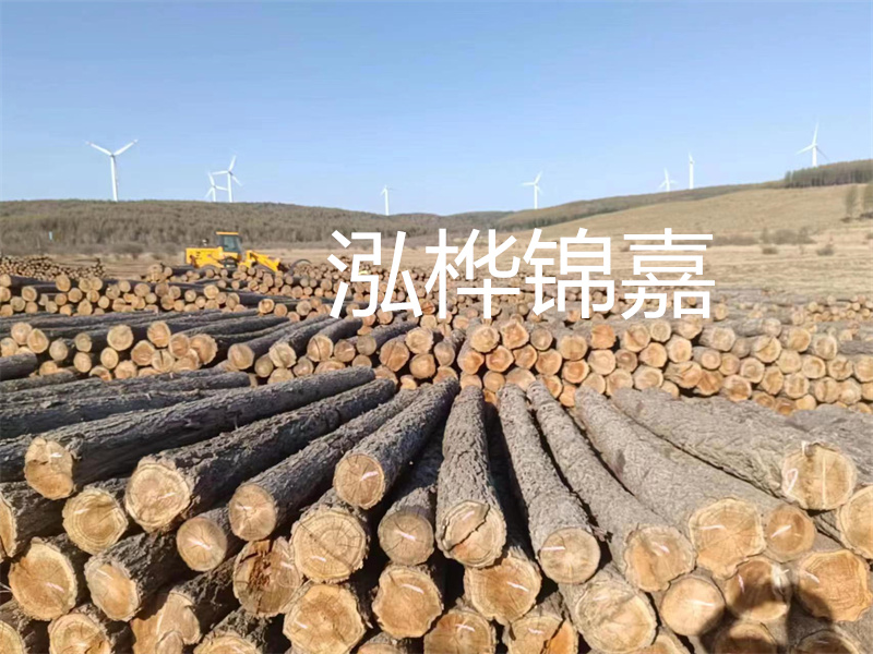 溫州松木樁施工廠家——為您打造堅固穩(wěn)定的建筑基礎！