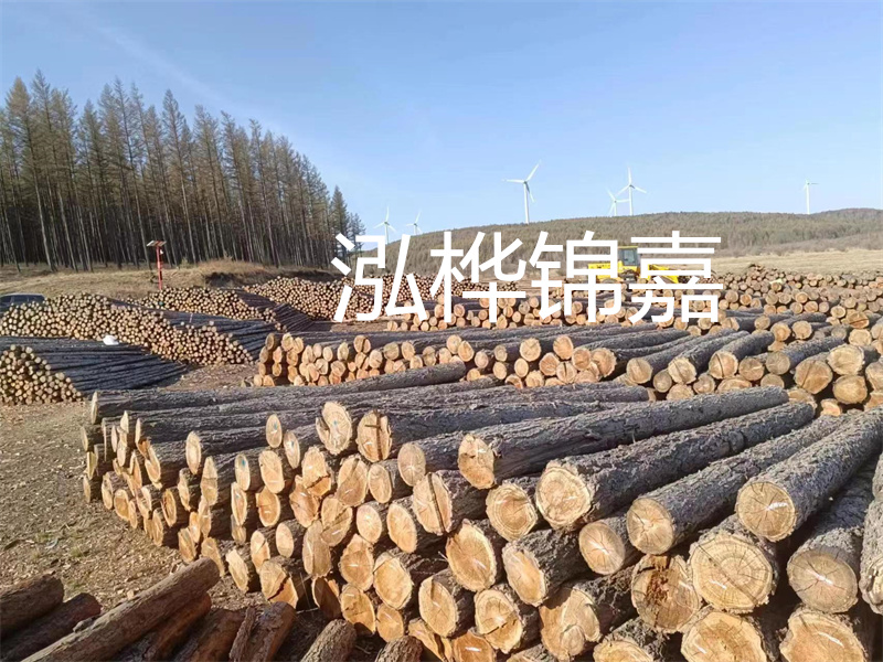 用路基松木樁施工方案提升工程質量描述：了解路基松木樁施工方案的重要性，提高工程質量關鍵詞：路基松木樁，施工方案，工程質量