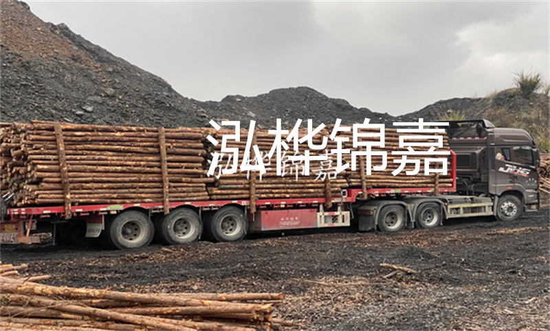 云南哪里有松木樁？實用指南，助您選購優(yōu)質(zhì)木材！