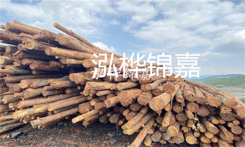濮陽松木樁，卓越品質，安全可靠
