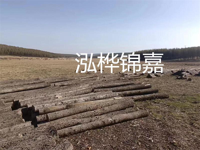 鄂州松木樁哪里好？推薦泓樺錦嘉松木樁業(yè)！